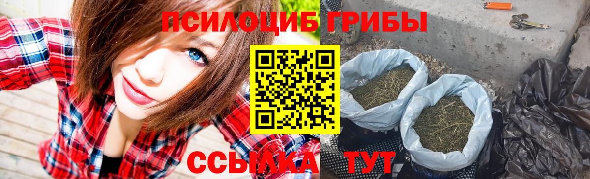 Псилоцибиновые грибы Psilocybine cubensis Отрадный