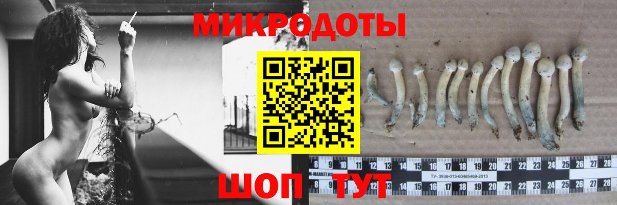 Галлюциногенные грибы GOLDEN TEACHER  где найти   Вход с VPN  Отрадный  Псилоцибиновые грибы прущие грибы 
