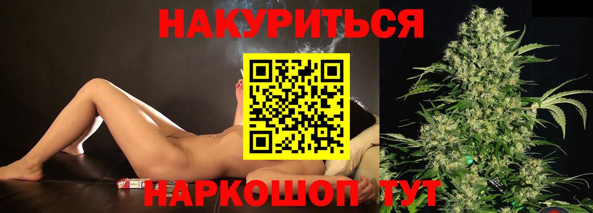 Марихуана сатива Отрадный